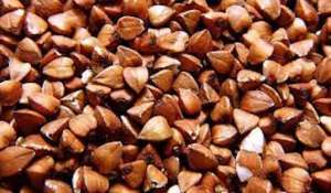 ������ �������. - ����������� 1