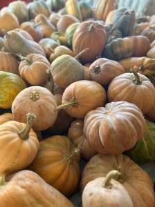 ������ ������� - ����������� 1