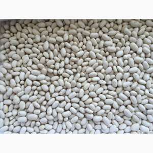 ������ ������� - ����������� 1