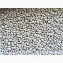 ������� � ����������: ������ �������