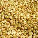 ������. �������.