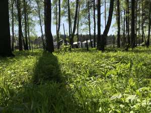 ������ ������� � 18 �� �� ������������ ����� - ����������� 1