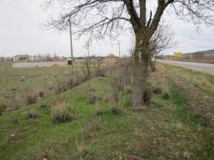 ������ ������� �. ���� � �.�������� - ����������� 1