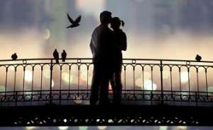 ������ ������� � ����� � ����������. ������� �������� ��������. - ����������� 1