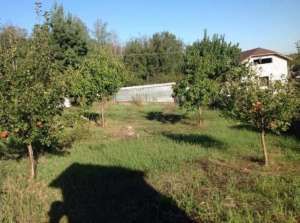 ������ ������� � ������ ������� 15 �����. - ����������� 1