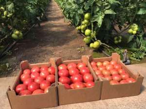 ������ ������� � ������ ��������� ������� - ����������� 1