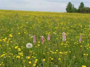 ������ ������� � �.������ ��������� - ����������� 1