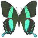 ������ ������� �� 14 ������� - ����� �������!. ������ ������ - ������