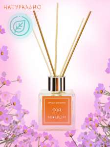 ������ ������� �� ���� ������� ��������� ����������� ��������� ������������ AmbiElectric - ����������� 1