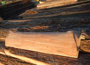 ������ ������� �� ���� ���������� �������� - ����������� 1