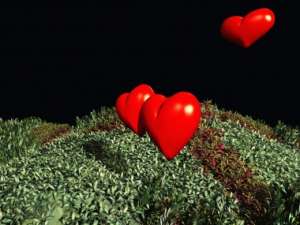 ������. ������� �� ������. �������� �� ������. - ����������� 1