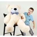 ������� � ����������: ������ ������� �� ��������� ����. �������� ����