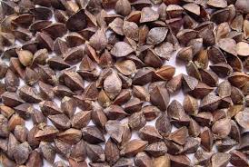 ������. �������. ��� - ����������� 1