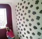 ������ ������� ���