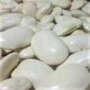 ������ ������� ��� �� ���������. �������� ���� �����������