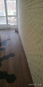 ������ ������� ��� ����, ����� �����������. - ����������� 1