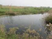 ������ ������� ���. ����� 15 ����� - ����������� 3