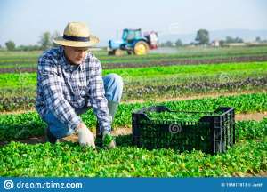 ������. ������� ��� ����� ������ ������ � ���� � ��� ������� - ����������� 1