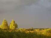 ������ ������� ��� ������ ����� �.����� 1300�.�.����� - ����������� 2