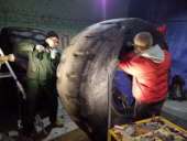 ������ ������� ���. ������ ���������������� ���. - ����������� 2