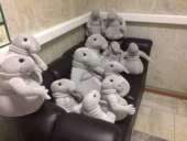 ������ ������� ���� 30 �� - ����������� 2