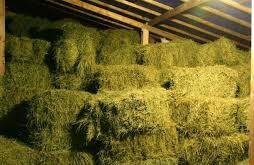 ������ ������� ���� � �����, �������. ���������� �������� �� �������. ����� ������ ����� - ����������� 1