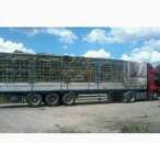 ������ ������� ���� � �����, �������. ���������� �������� �� �������. ����� ������ ����� - ����������� 2