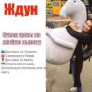 ������� � ����������: ������ ������� ���� ������ � �����, �������� �� �������