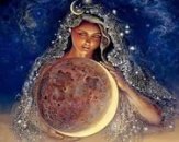 ������� � ����������: ������ ������� ���� - ������� � ������������