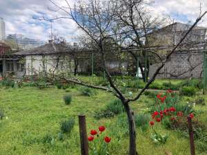 ������ ������� ����� 10,5 ����� � ������, ����� ������� - ����������� 1