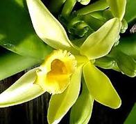 ������ ������� ����� 5 �� - ����������� 1