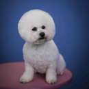 ������, ������� ����� � ���� - ����������� 3