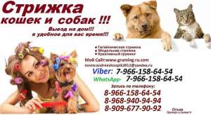 ������ ������� ����� � ����� ����� �� �� ��� �������,�������� ,������� ��������, ������ � ���������� ������� - ����������� 1