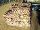 ������ ������� ����� �� ���������? ��������� ����� 8�. - ����������� 3