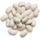 ������� � ����������: ������ ������� ����� ��� ����, �����, �����, �����������