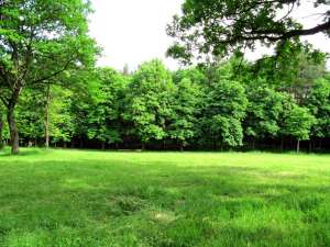 ������ ������� ����� ��� �������������� ������������� � ����������� ���. � ����������. - ����������� 1