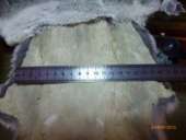 ������� � ����������: ������ ������� ����� ��������