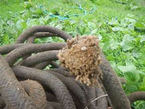 ������ ������� (����� ��������) - ����������� 1