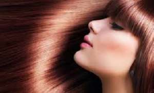 ������. ������� ����� ������������. ����� ������ ������������ �� 40 ��. ���� �����. - ����������� 1