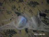 ������ ������� ������ 105d ����� �������� �������� ����� - ����������� 3