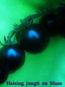 ������ ������� ������ - ����������� 1