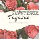 ������� � ����������: ������ ������� ������.