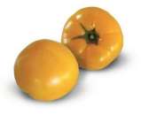 ������� � ����������: ������ ������� ������ KS 10 F1 (������)