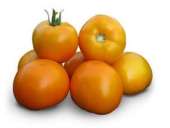 ������� � ����������: ������ ������� ������ KS 17 F1 ����� ������