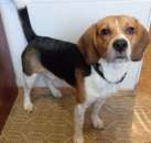 ������! ������� ������ ����� - ����������� 1