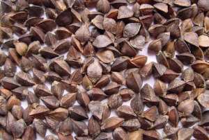 ������ ������� ������. ����� ����������� - ����������� 1