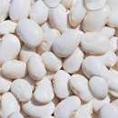 ������� � ����������: ������ �������. ������ ������.