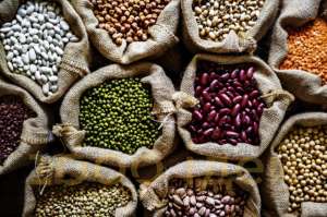 ������. ������� ������. ������ ������. � ���������� - ����������� 1