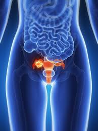 ������ �������, ������ ������, ������ �����, ��������� ����������, ��������� ������, - ����������� 1