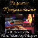 ������� � ����������: ������ �������. ������ �����������.